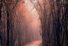 股票怎么开户会变st:炒股配资炒股配资-9月3日国内四大证券报纸、重要财经媒体头版头条内容精华摘要